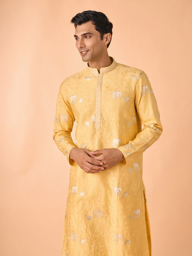 Festive Kurta